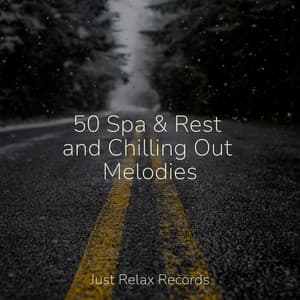 50 Spa & Rest and Chilling Out Melodies - Meditación