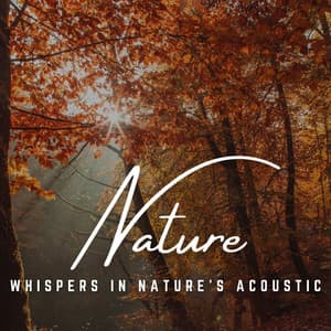 Nature's Lullaby: Acoustic Echoes - Tropical Bliss