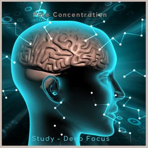 Pure Concentration - Study – Deep Focus