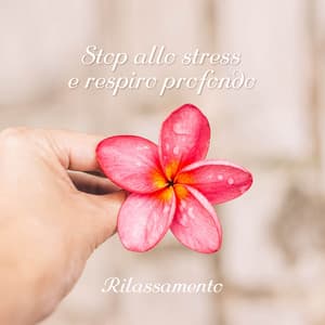 Stop allo stress e respiro profondo: Rilassamento - Audio terapia per yoga, Pace & Equilibrio, Buona dormita - Bella zen rilassante