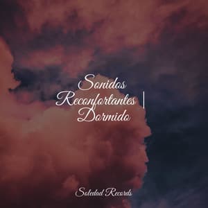 Sonidos Reconfortantes | Dormido - Sonido de lluvia