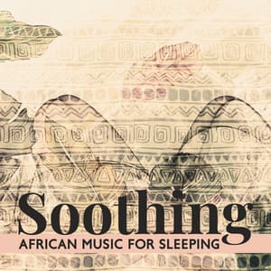 Soothing African Halcyon Sleeping - Ele Prashna