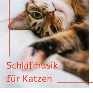 Schlafmusik für Katzen: Die beste Instrumental-Songs für Ihre Haustiere schlafen - Entspannungsmusik Universe