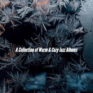 A Collection of Warm & Cozy Jazz Albums - New York Deluxe Dinner Jazz
