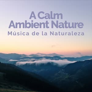 A Calm Ambient Nature - Música de la Naturaleza