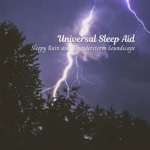 Universal Sleep Aid: Sleepy Rain and Thunderstorm Soundscape - Magical Rain Sleep Sound