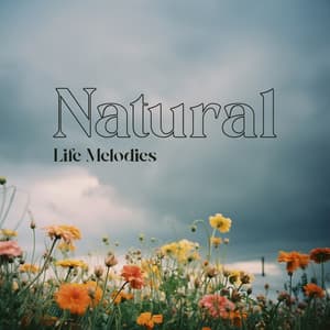 Natural Life Melodies: Soothing Nature Sounds And Relaxing Piano Music | Meditation, Yoga, Reiki, Spa - Green Green Grass