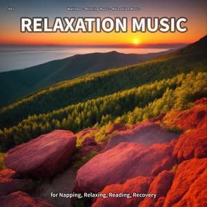 #01 Relaxation Music for Napping, Relaxing, Reading, Recovery - Wellness