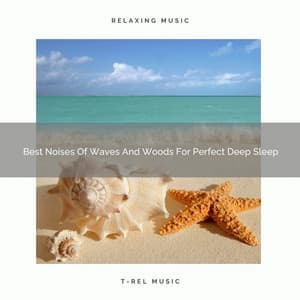 Best Noises Of Waves And Woods For Perfect Deep Sleep - Noise Gravity