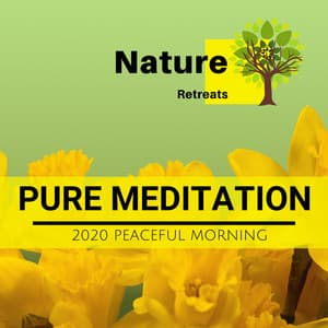 Pure Meditation - 2020 Peaceful Morning - Zen Healing Melodies