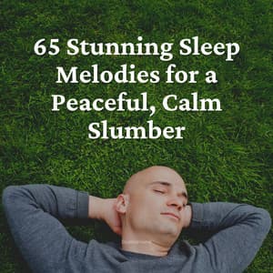 65 Stunning Sleep Melodies for a Peaceful, Calm Slumber - Meditation Music