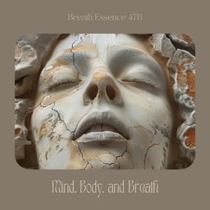 Mind, Body, and Breath: The 4-7-8 Connection - Breath Essence 478