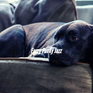 Furry Funky Jazz - Musica para Perros