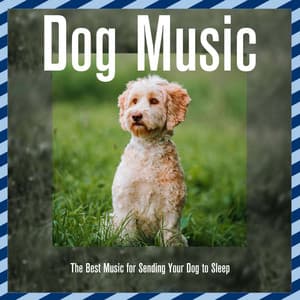 Dog Music: The Best Music for Sending Your Dog to Sleep - Relaxmydog
