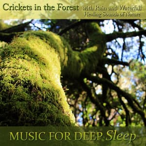 Healing Sounds of Nature: Forest Crickets, Rains and Waterfalls - Music For Deep Sleep