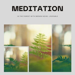 Meditation in the Forest with Brown Noise, Loopable - Brown Noise Warriors