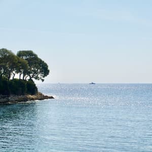 Big Sud - Nicolas Folmer