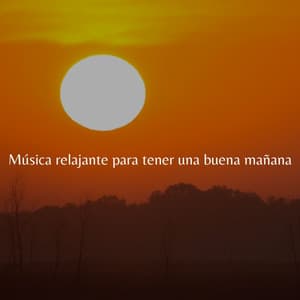 Música relajante para tener una buena mañana - Working from Home Playlist