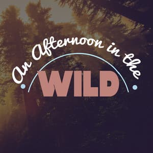 An Afternoon in the Wild - Rest & Relax Nature Sounds Artists