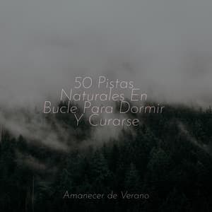 50 Pistas Naturales En Bucle Para Dormir Y Curarse - Relajacion Del Mar