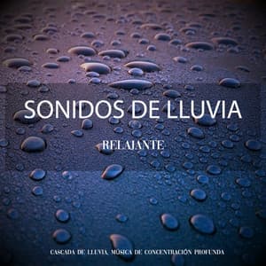 Sonidos de Lluvia Relajante - Cascada de Lluvia