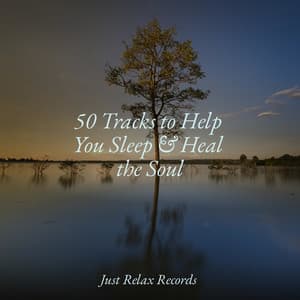 50 Tracks to Help You Sleep & Heal the Soul - Ambiente