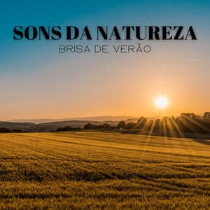 Sons Da Natureza: Brisa De Verão - Balneario