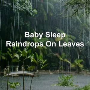 Baby Sleep Raindrops on Leaves - Baby Sleep Sounds