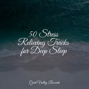 50 Stress Relieving Tracks for Deep Sleep - White Noise Sleep Sounds