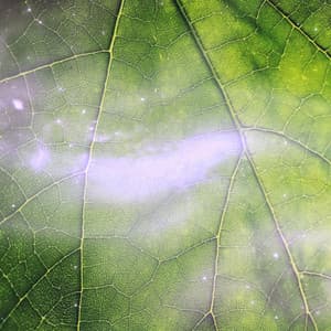 Simple White Noise From Space - White Noise Universe