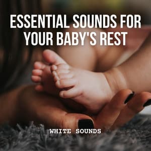 White Noise: Essential Sounds for Your Baby's Rest - White Noise Sound Garden