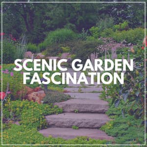 Scenic Garden Fascination - Swedish Forest Birds