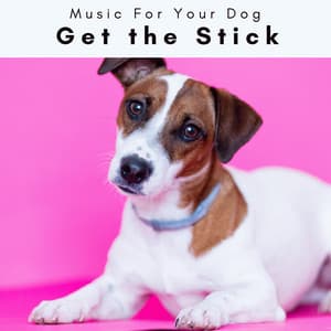 2 0 2 3 Get the Stick - Music For Your Dog