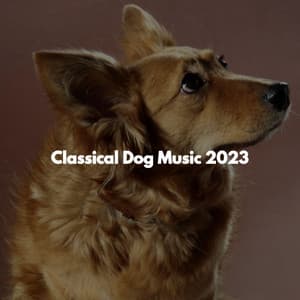 Classical Dog Music 2023 - Jazz Rilassante Progetto