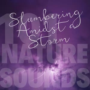 Slumbering Amidst a Storm - 101 Nature Sounds