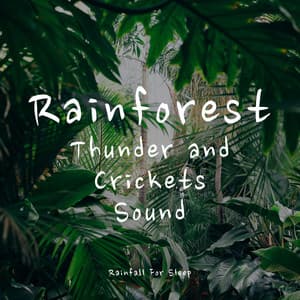 Rainforest, Thunder and Crickets Sound - Rainfall For Sleep