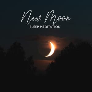 New Moon Sleep Meditation: Soothing Japanese Shakuhachi and Water Sounds to Heal Insomnia - Deep Sleep Hypnosis Masters