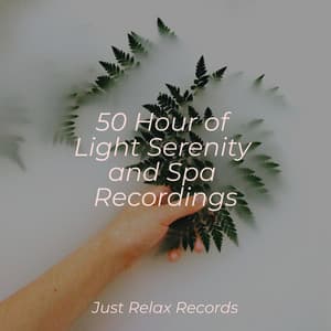50 Hour of Light Serenity and Spa Recordings - Bedtime Lullabies