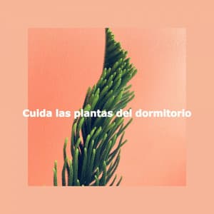 Cuida las plantas del dormitorio - Música para Desayuno