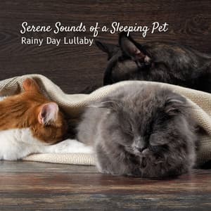 Serene Sounds of a Sleeping Pet: Rainy Day Lullaby - Thunderstorms