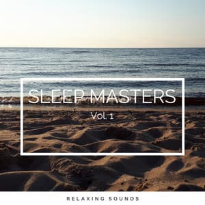 2022 Sleep Masters Vol. 1 - World Recorders