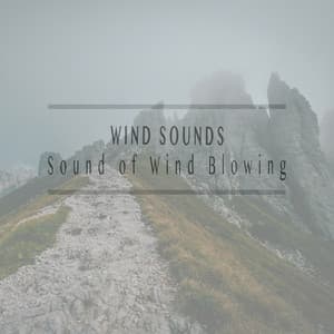 Sound of Wind Blowing - Wind Sounds
