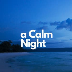 A Calm Night - Baby Mozart