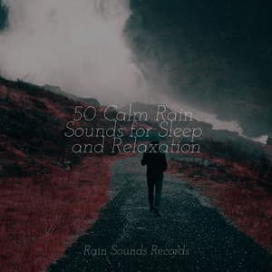 50 Calm Rain Sounds for Sleep and Relaxation - Relax Meditate Sleep
