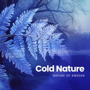 Cold Nature - Nature of Sweden
