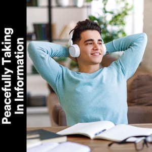Peacefully Taking in Information - Pure Work Music