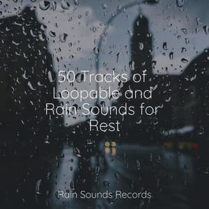 50 Tracks of Loopable and Rain Sounds for Rest - Massage Therapy Music