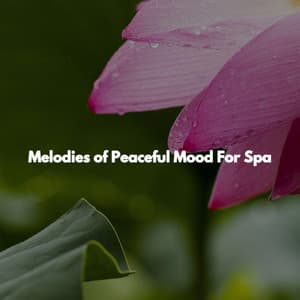 Melodies of Peaceful Mood For Spa - Spa Atmospheres