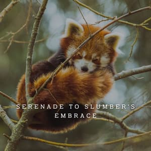 Nocturnal Piano Reverie: Serene Sounds for Restful Sleep - Piano Music To Fall Asleep Faster