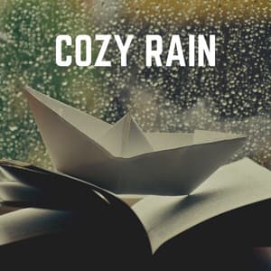 Cozy Rain - Rainfall Meditations